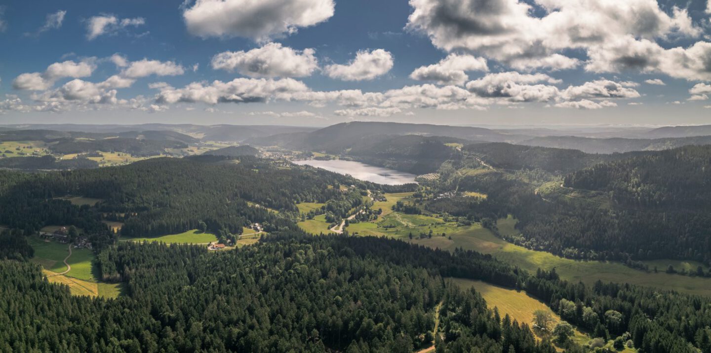 Sommer im Hochschwarzwald