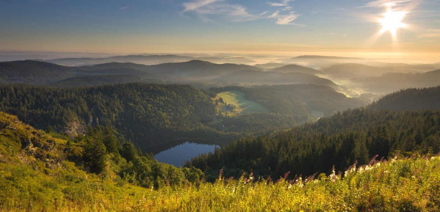 Genießerpfad Feldbergsteig
