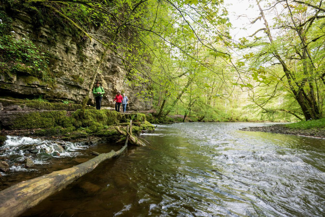 Wutachschlucht