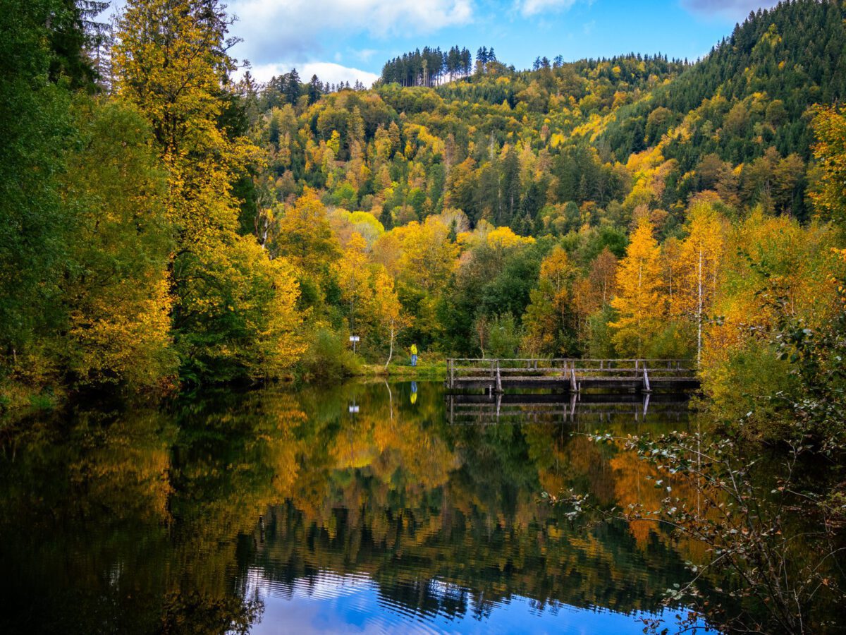 Wandern