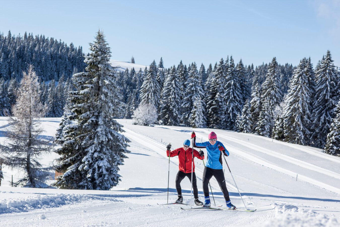 Panoramaloipen im Schwarzwald mit besonderen Ausblicken