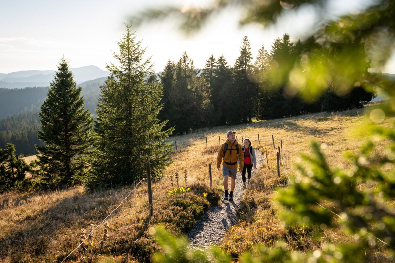 Wandern zwischen Gipfeln, Wäldern und Schluchten