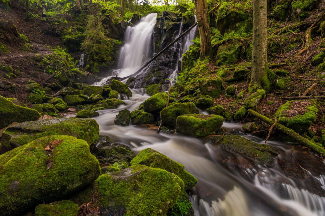 Natur pur erleben