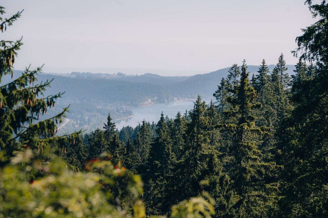 Zweiseenblick
