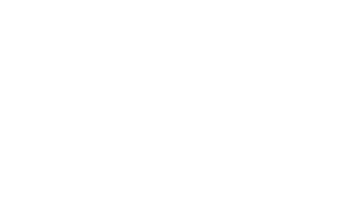 Schwarzwaldgasthof Hotel zum Löwen