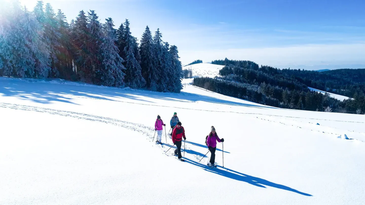 Schneeschuhwandern