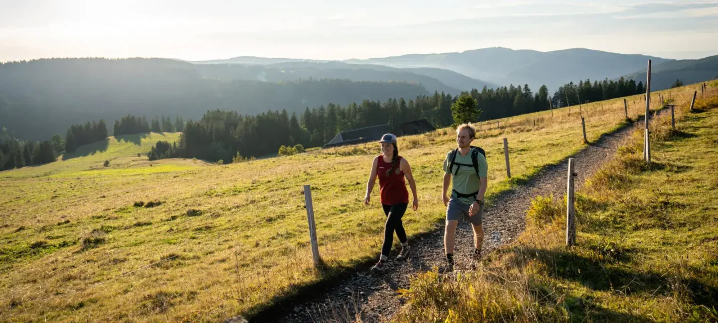 Wandern im Hochschwarzwald