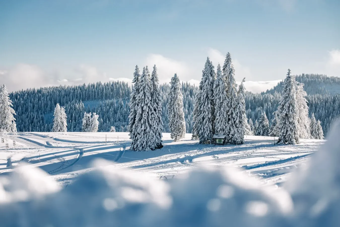 Winterwandern