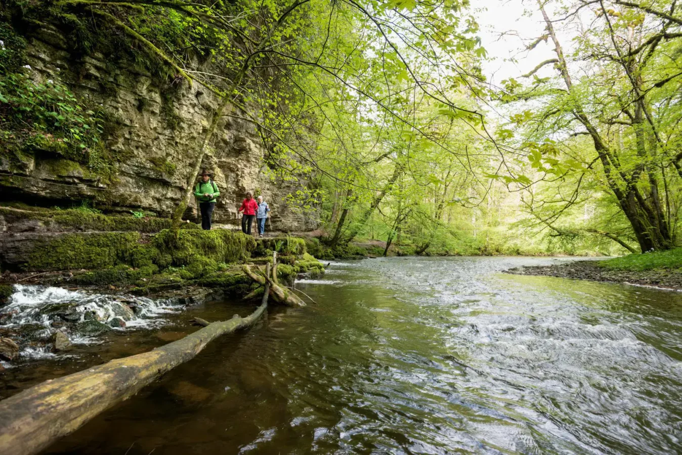 Wutachschlucht